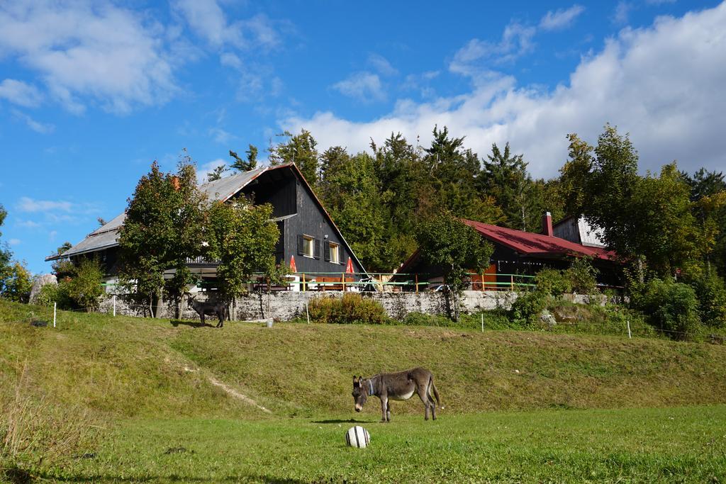 Guest House Beli Kamen Vojsko 外观 照片